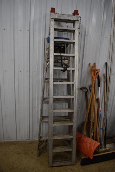 Tri-Fold Aluminum Ramp and Wener Aluminum 6' Step Ladder
