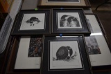 Set of 3 framed loon prints