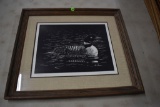 Framed and number loon print by Jan Wilding, 23/1000