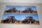 Case IH MX Series Maxxum Tractor Literature