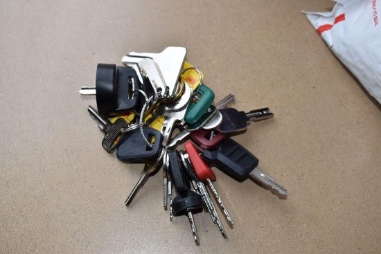 Heavy Equipment Key Set, 24 Keys Total, keys incl