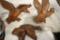 (3) Grainbelt Plastic Birds