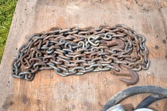 21 ft log chain