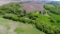 Parcel/Lot 1 91.21 Acre Building Site in Wanamingo TWP, Goodhue Co. MN