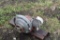 Maytag Single Cylinder Gas Engine, Motor Free, Missing Carb