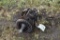 Dual Flywheel Gas Engine, Motor Does NOT Spin, Missing Parts