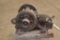 Ideal, 1 1/4 HP, Parts, with cylinder and head