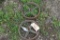 (2) Steel Wheels, 11.5