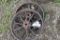 (2) Spoked Steel Wheels, 20