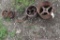 Gas Engine Pulleys and Wheel