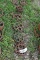 (8) Small Steel Wheels