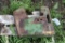 (2) John Deere Suitcase Weights