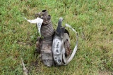 Easy Washing Machine Gas Single Cylinder Engine, Motor Does NOT Spin
