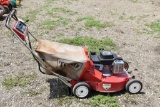 Toro 21
