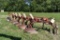 International 720 Plow, 5x18's, Automatic Reset