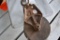Vintage Barn Pulley