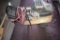 Pro X 15 Gallon Air Compressor With Hose And Chuck, In Working Condition
