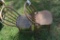 (2) Vintage Wooden Chairs
