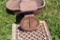 Metal Waterer/Feeder, Scale, Furnace Grate