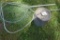 (2) Fishing Nets, Galvanized Minno Bucket