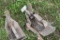 (2) Stalk Stompers, 26