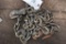 Log Chain 8ft two hooks