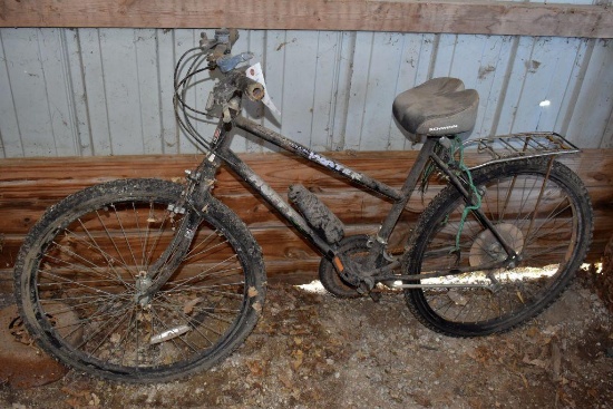 Schwinn Huffy women's Back Water bike