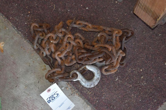 10ft log chain two hooks