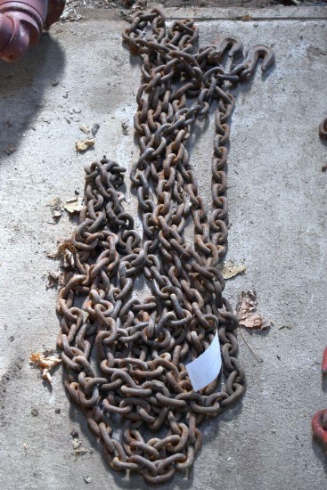 30 ft log chain with 2 hooks