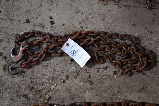 10 ft log chain two hooks