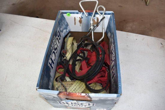 Bungee cords and tie downs
