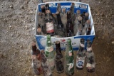 Assortment Of Vintage Bottles, Beer And Pop