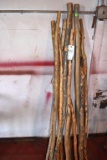(10) Walking Sticks