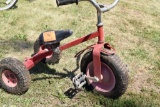 3 Wheeled tricycle