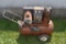 Sears Craftsman Air Compressor - Large