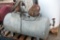 Air Compressor, Compressor Moves Freely