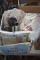 Box with Toro Poly-guard Leaf Bags, Boat Motor Cleaner, Poncho