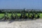 John Deere HG40 4 Row Wide Cultivator, 3 Point Rear Mount