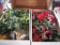 Holiday Decor