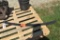 Arctic Cat Slides, 48 1/2