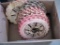 Box of Plastic Planter Plates