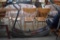 Fast Track Exercise Machine