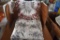 Table Clothes and Doilies