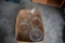Box of 5 gal. Glass Jars