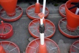 3 Large Chic1 Feeders Without Hoppers