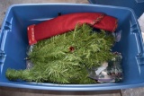 Tote with artificial Christmas Tree and Lights