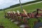 International 710 7x18's Plow, Auto Reset, Coulters, On-Land