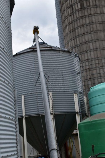 6''x 48' Auger With 5HP Motor