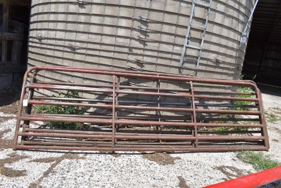 (3) Livestock Gates, 13.5'