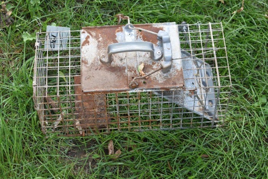 Small live trap